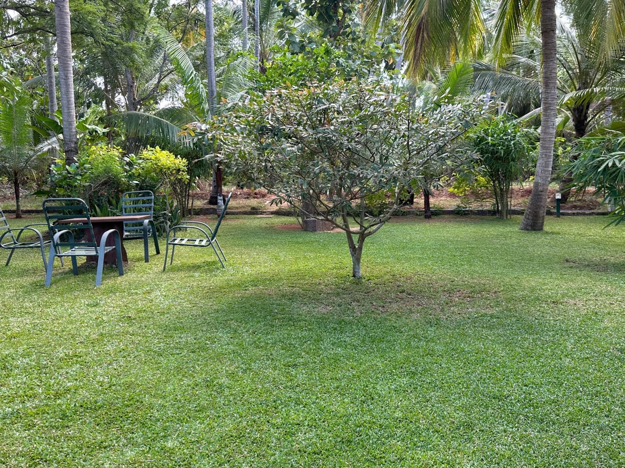 Hotel Heladiv Anuradhapura Esterno foto